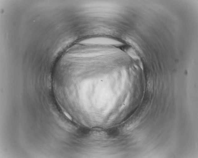 X0000088840403200706281826