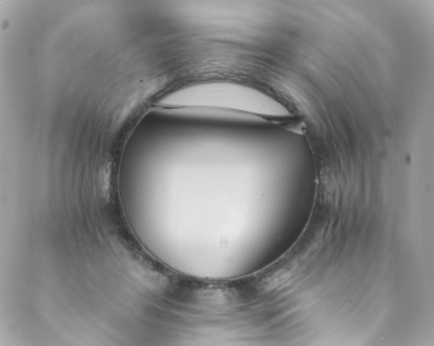 X0000088840404200706281826