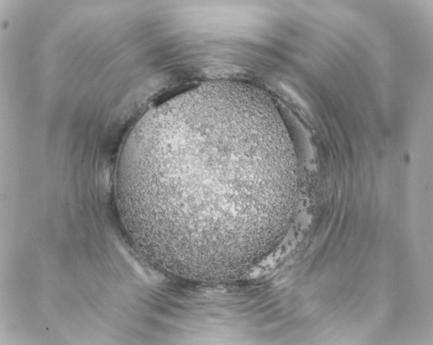 X0000088840405200706281826