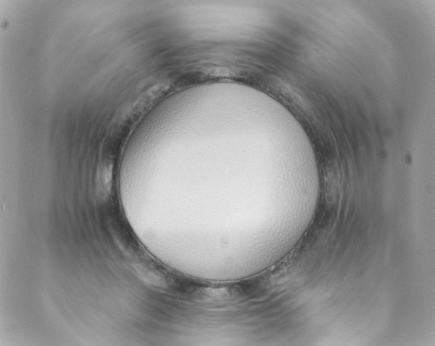 X0000088840406200706281826