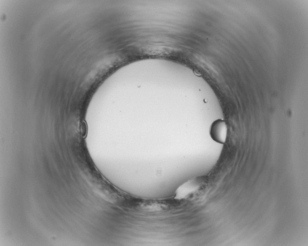 X0000088840407200706281826