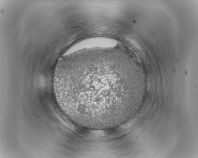 X0000088840409200706281826