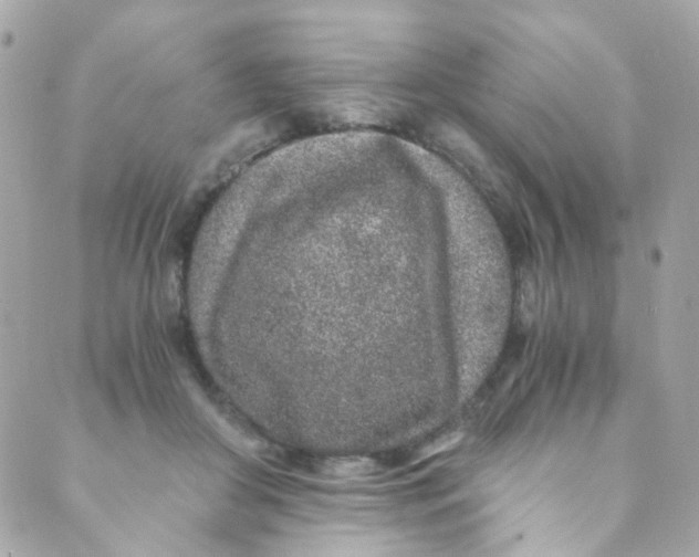 X0000088840410200706281826