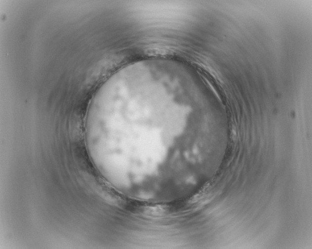 X0000088840411200706281826