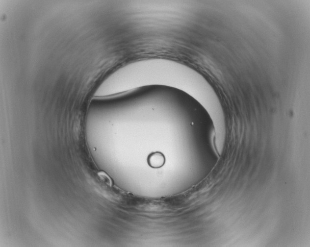 X0000088840412200706281826