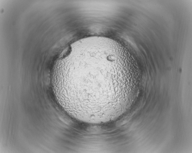 X0000088840413200706281826