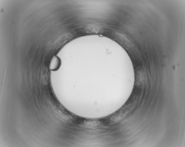 X0000088840414200706281826