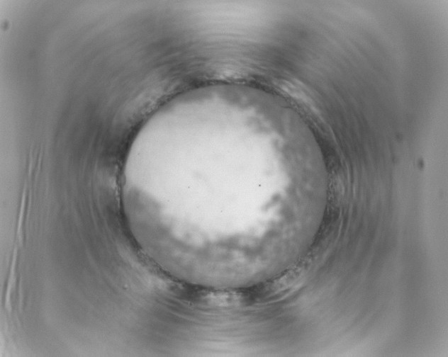 X0000088840415200706281826