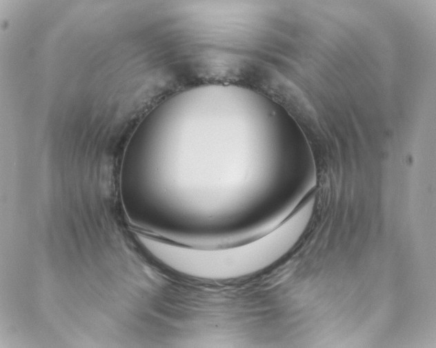 X0000088840416200706281826