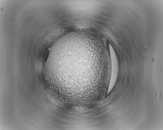 X0000088840417200706281826