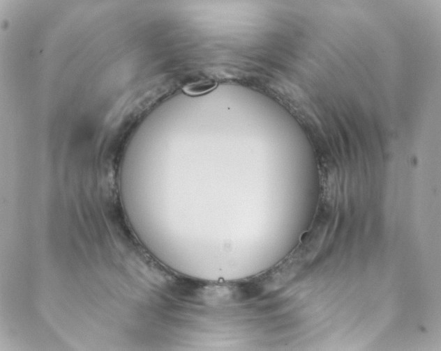 X0000088840418200706281826