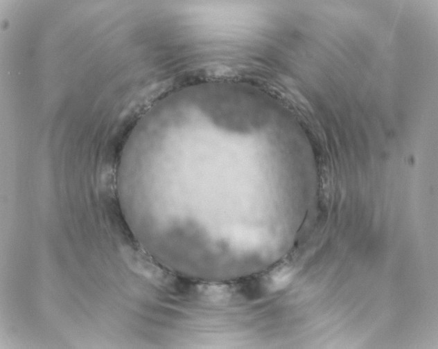 X0000088840419200706281826