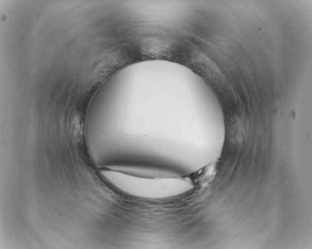 X0000088840420200706281826