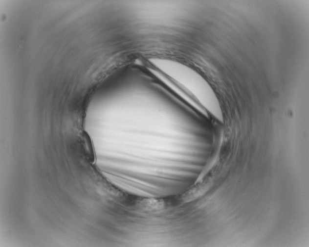 X0000088840421200706281826