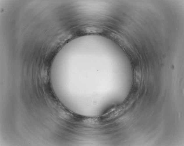 X0000088840422200706281826