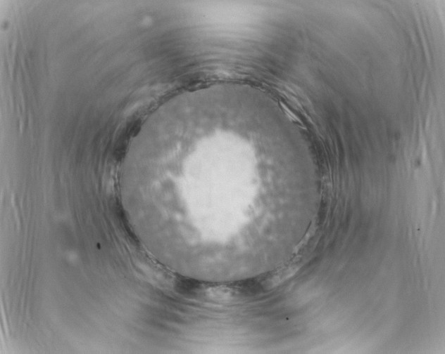 X0000088840423200706281826