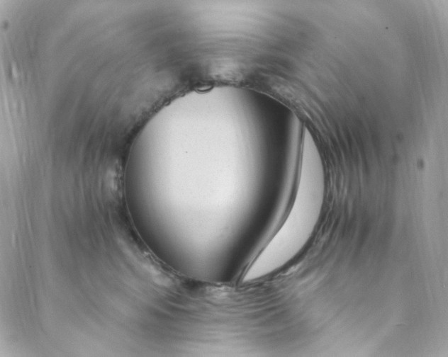 X0000088840424200706281826