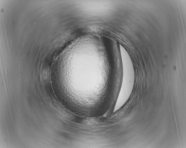 X0000088840425200706281826