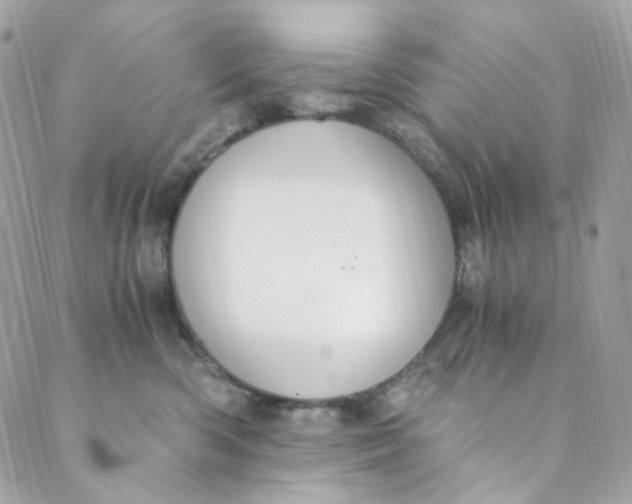 X0000088840426200706281826