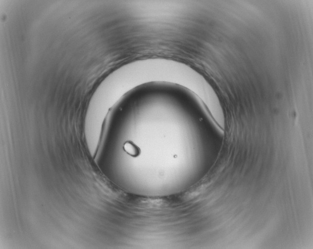 X0000088840428200706281826