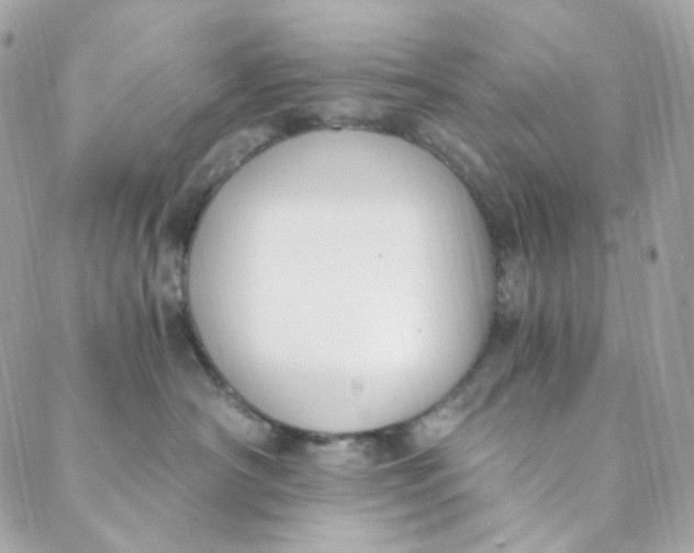 X0000088840430200706281826