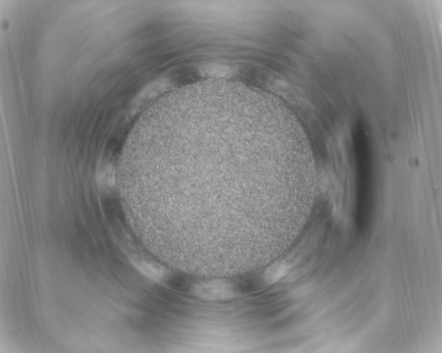 X0000088840431200706281826