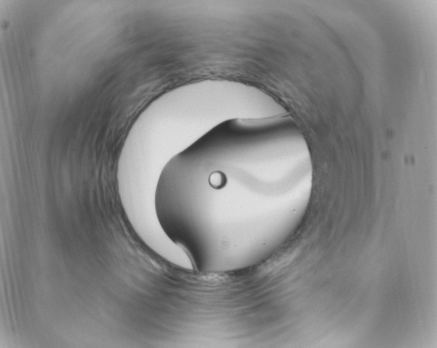 X0000088840432200706281826