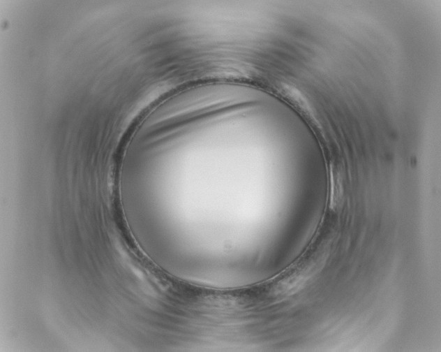 X0000088840435200706281825