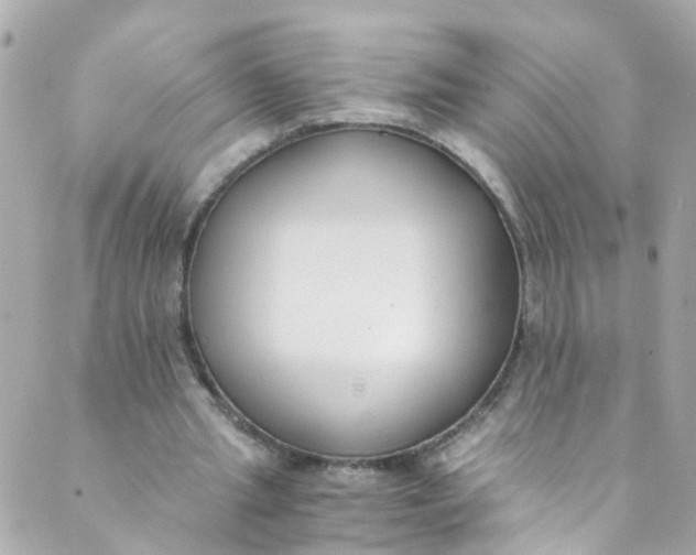 X0000088840437200706281825