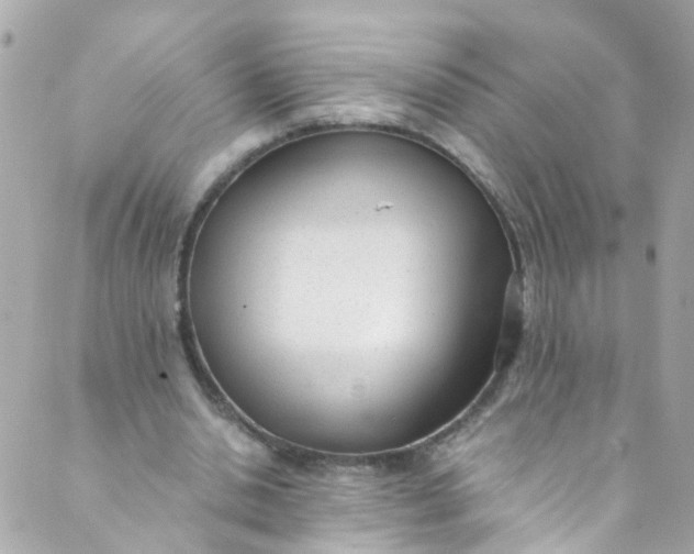 X0000088840438200706281825