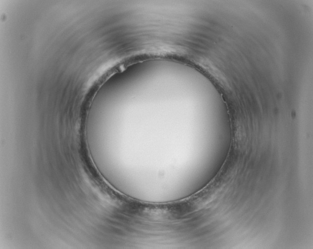 X0000088840440200706281825