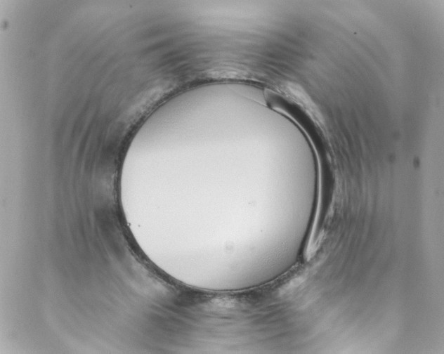 X0000088840441200706281825