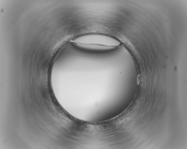 X0000088840442200706281825