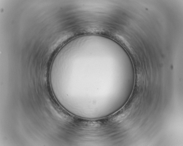 X0000088840443200706281825