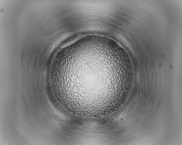 X0000088840444200706281825