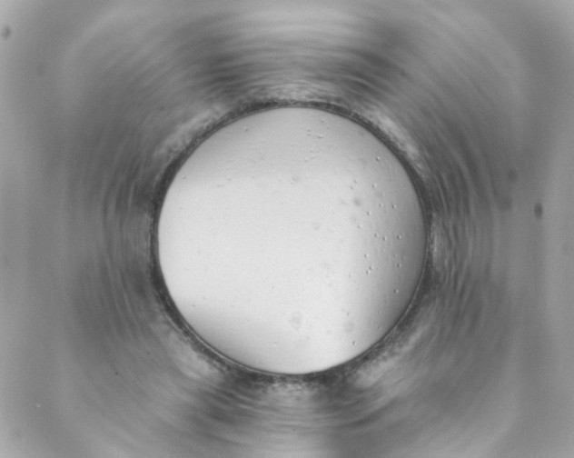 X0000088840445200706281825