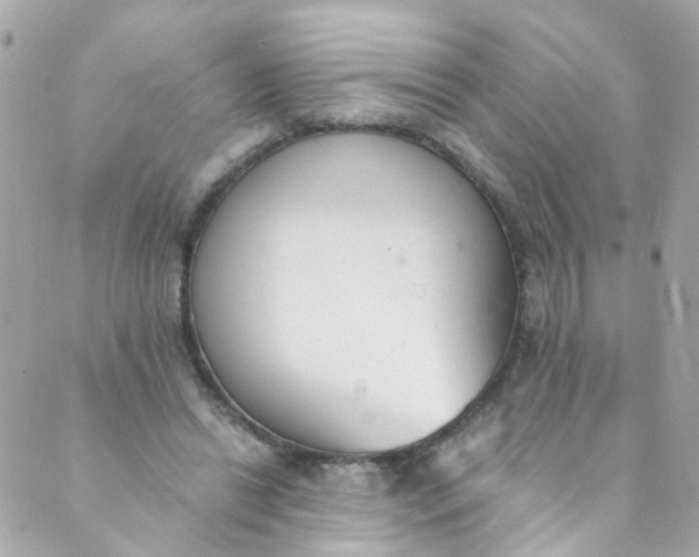 X0000088840446200706281825