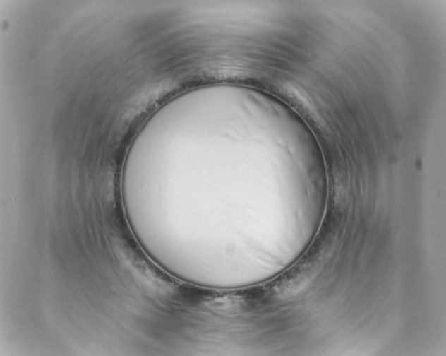 X0000088840447200706281825