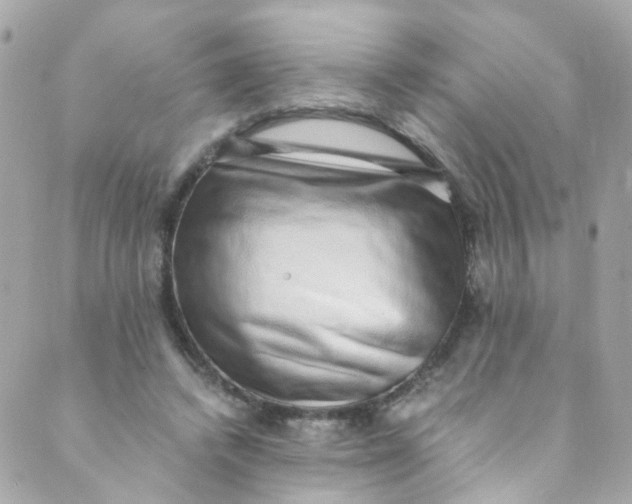 X0000088840448200706281825