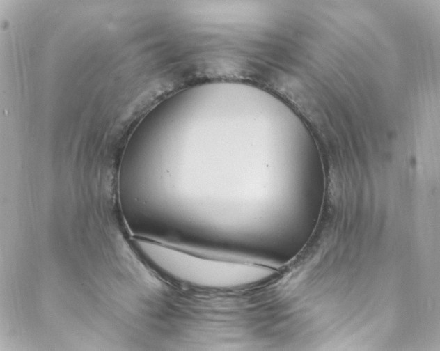 X0000088840449200706281825