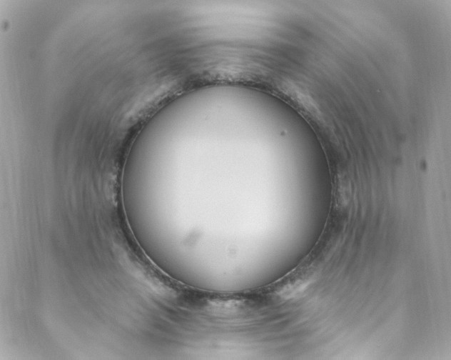 X0000088840450200706281825