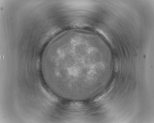 X0000088840451200706281825