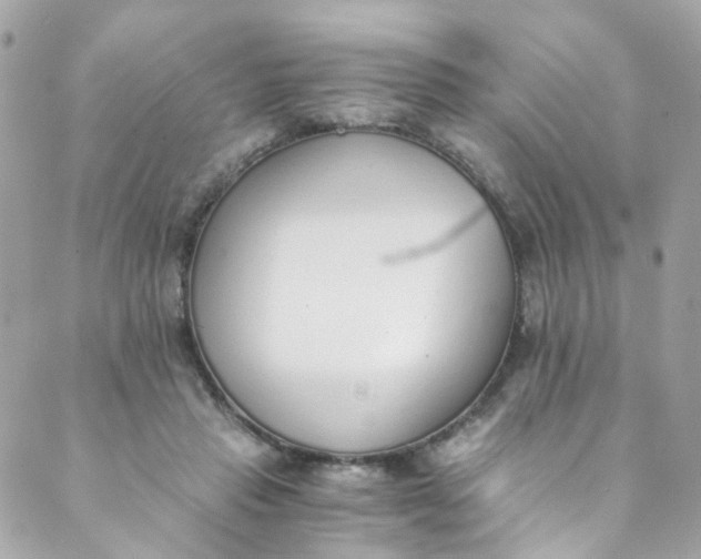 X0000088840453200706281825