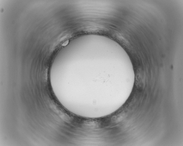 X0000088840454200706281826