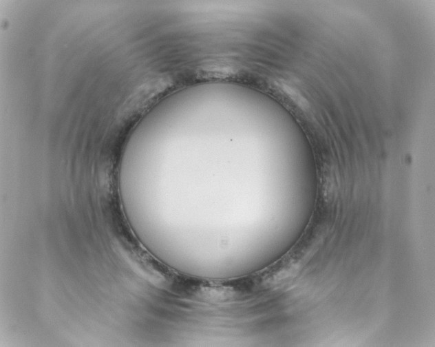 X0000088840455200706281826