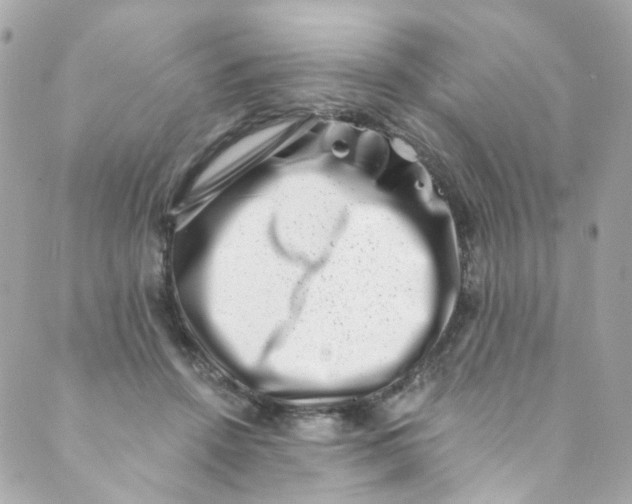 X0000088840456200706281826