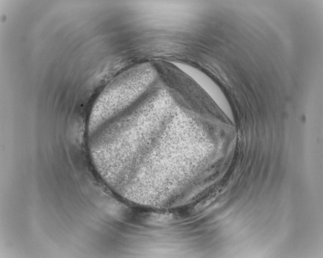 X0000088840458200706281826