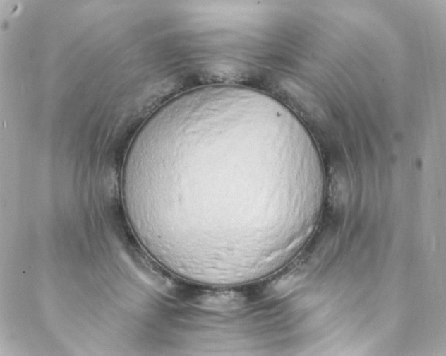 X0000088840459200706281826