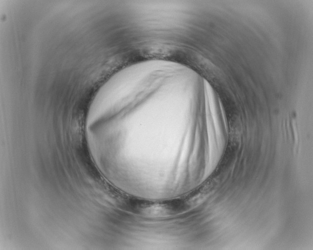 X0000088840460200706281826