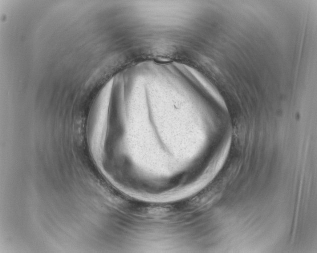 X0000088840462200706281826